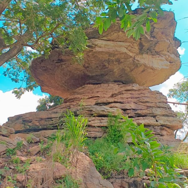 WhatsApp Image 2025-03-30 at 03.26.18_82693e3a